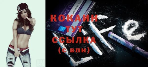 гидра Вязники
