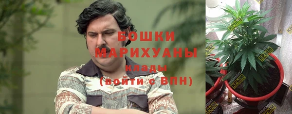 дживик Вяземский