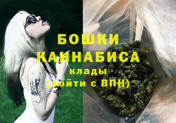 гидра Вязники