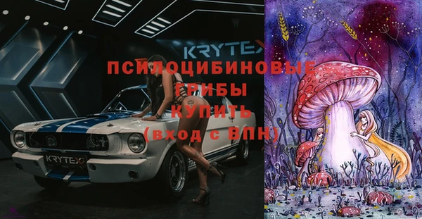 дживик Вяземский