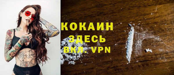гидра Вязники