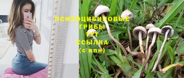 дживик Вяземский