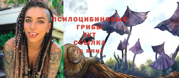 гидра Вязники